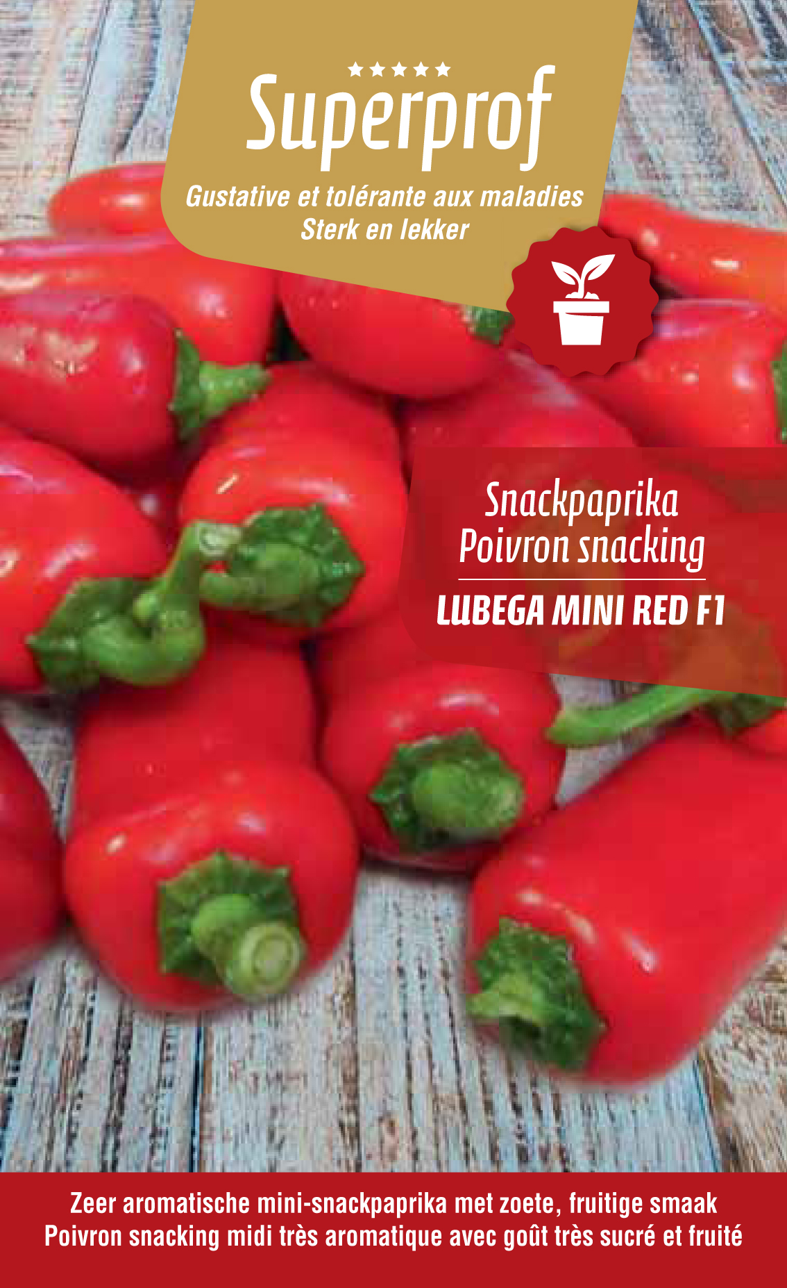 Poivron snack mini rouge (tray 8 pot)